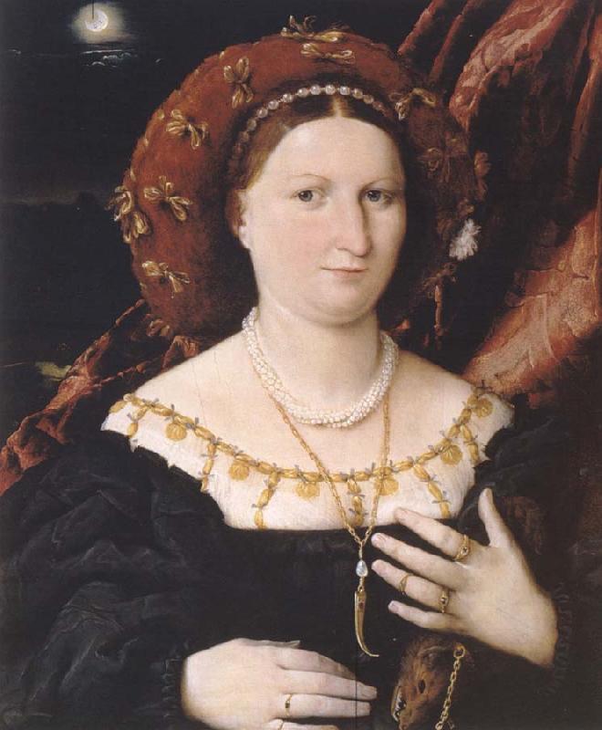 Lorenzo Lotto Portrat of the Lucina Brembati oil painting image